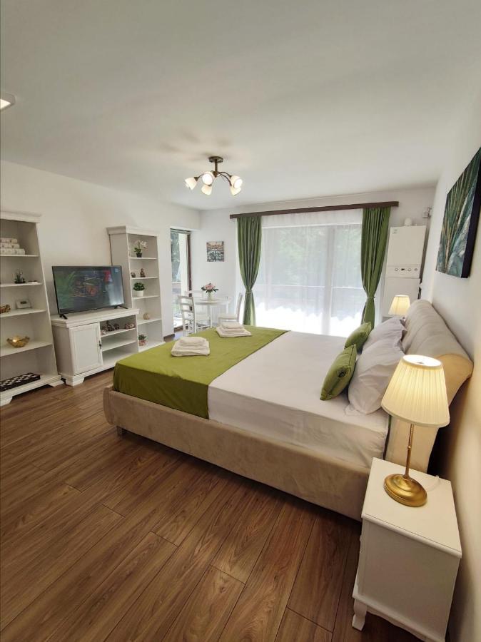 Green Studio Predeal Esterno foto