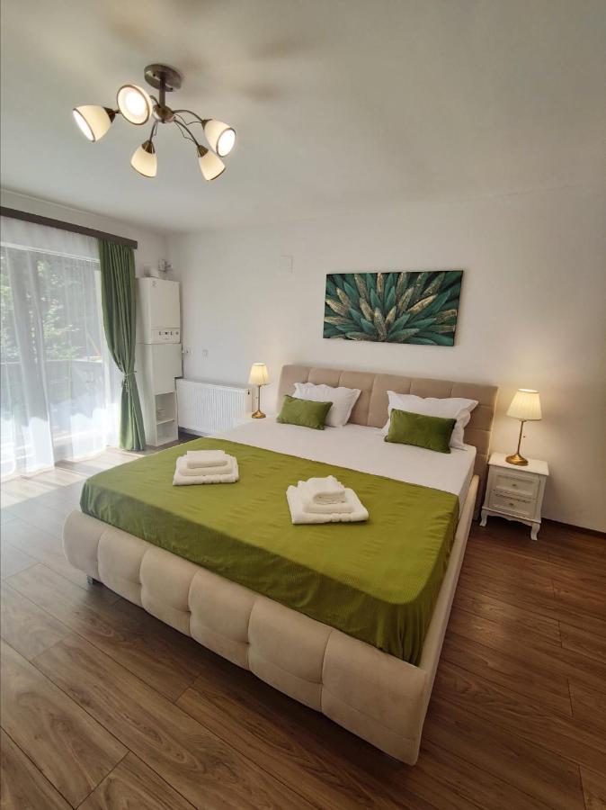 Green Studio Predeal Esterno foto